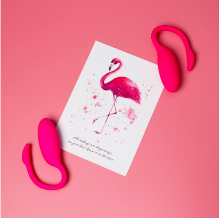 Trứng  rung thiên nga Flamingo điều khiển từ xa bằng điện thoại